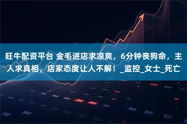 旺牛配资平台 金毛进店求凉爽，6分钟丧狗命，主人求真相，店家态度让人不解！_监控_女士_死亡