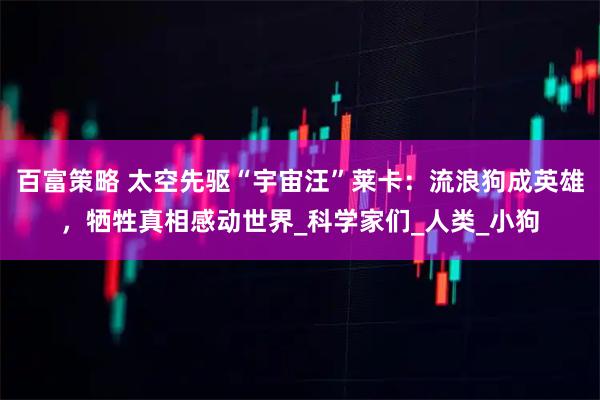 百富策略 太空先驱“宇宙汪”莱卡：流浪狗成英雄，牺牲真相感动世界_科学家们_人类_小狗