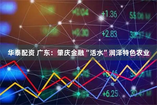 华泰配资 广东：肇庆金融“活水”润泽特色农业